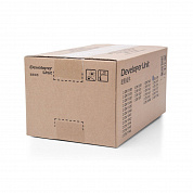 Оригинальный картридж Kyocera DV-170-E (302LZ93010) (100000 стр., черный)