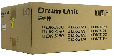 Оригинальный картридж Kyocera DK-3170 (302T993061) (300000 стр., черный)